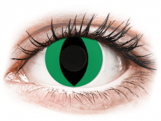 CRAZY LENS - Cat Eye Green - Diárias sem correção (2 lentes)