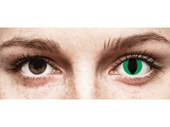 CRAZY LENS - Cat Eye Green - Diárias sem correção (2 lentes)