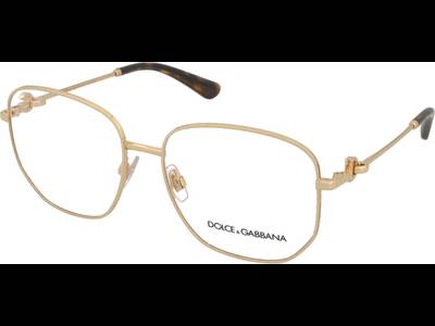 Dolce & Gabbana DG1356 02